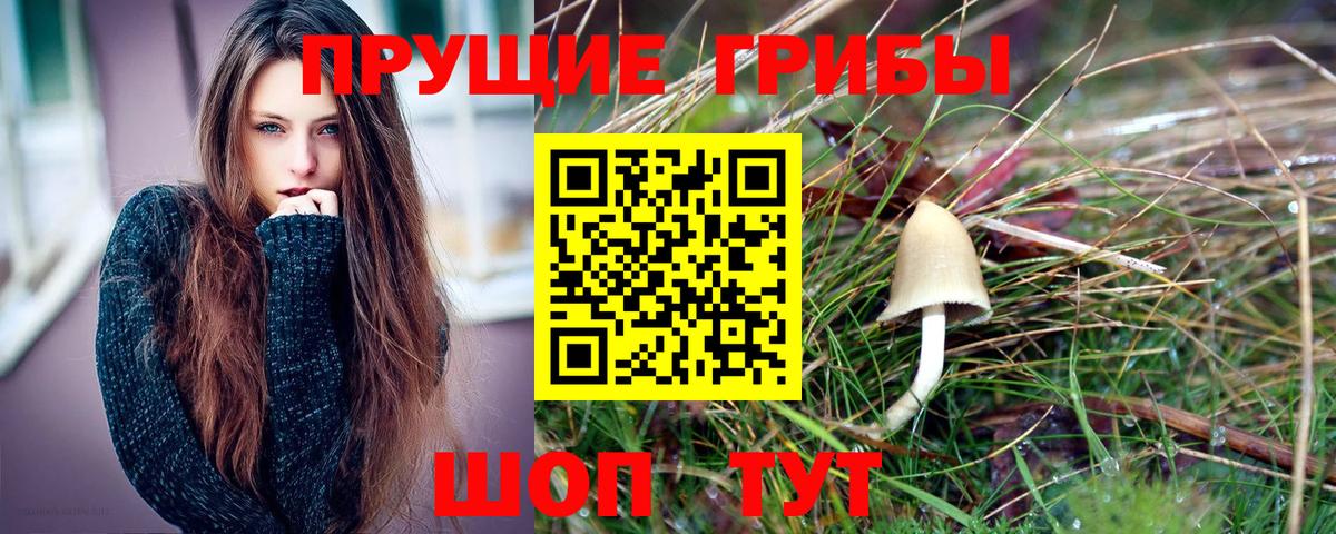 Галлюциногенные грибы Psilocybine cubensis  Вход с VPN  сколько стоит  Абакан 