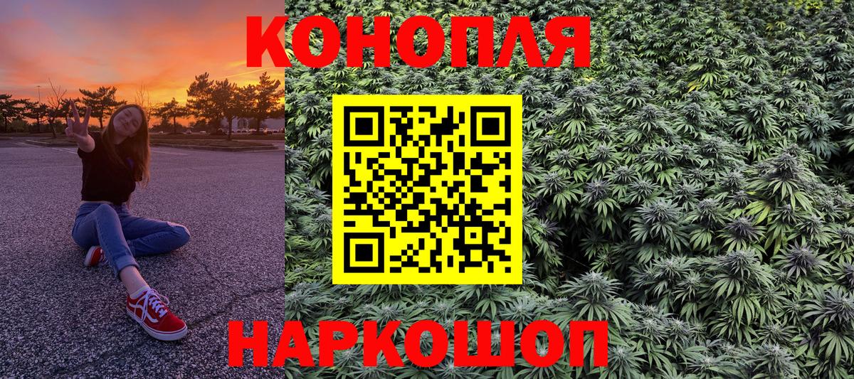 Канабис семена Абакан